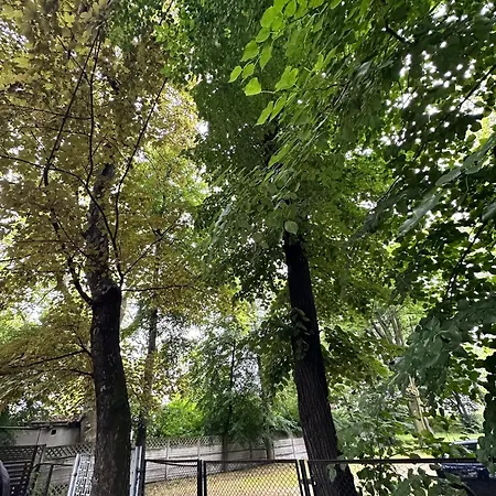 Unique Center קטוביץ