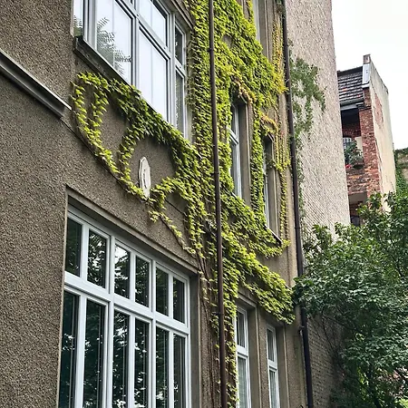 Unique Center * קטוביץ