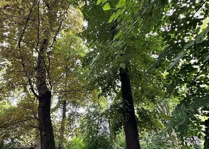 Unique Center קטוביץ